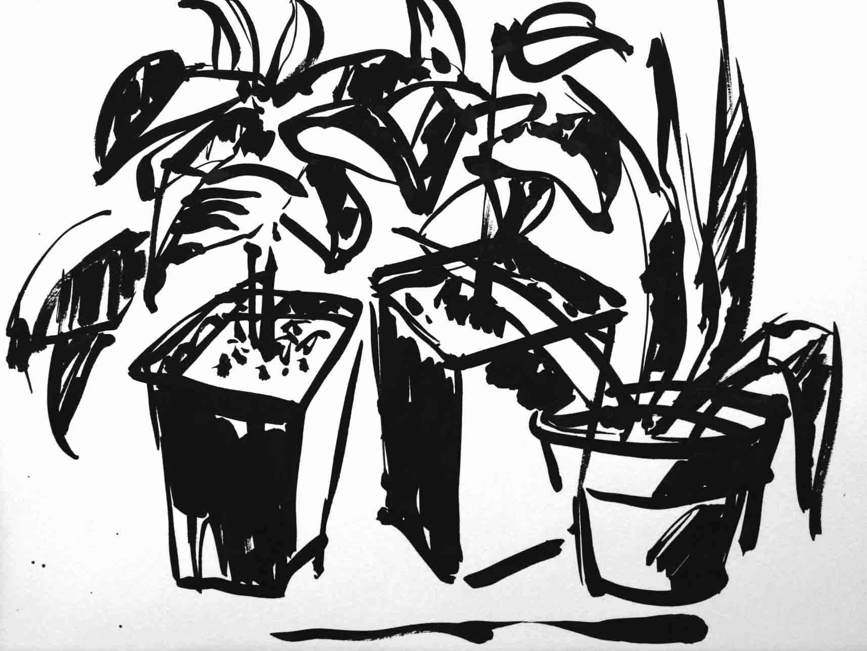 image of a scene in the garden, Chinese ink drawing, title: In the garden - 8