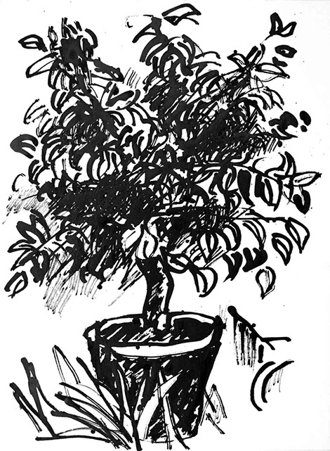 Image of an in Chinese ink drawn lemon tree, title: The Lemon Tree - 7