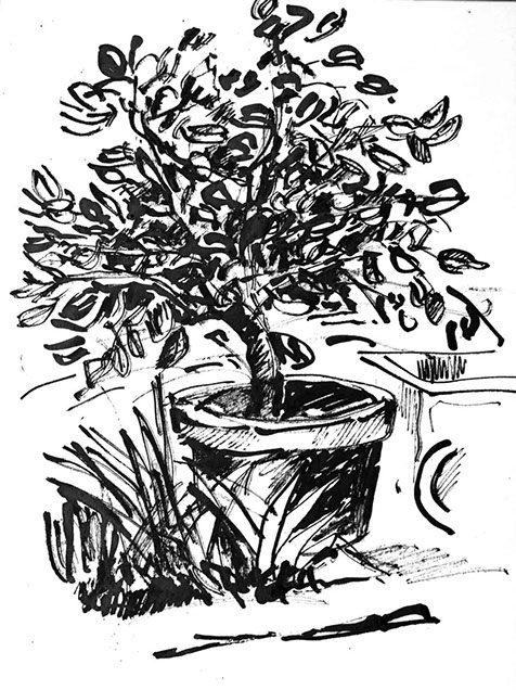 Image of an in Chinese ink drawn lemon tree, title: The Lemon Tree - 8
