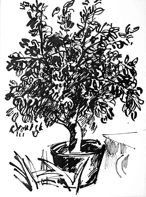 Image of an in Chinese ink drawn lemon tree, title: The Lemon Tree - 11