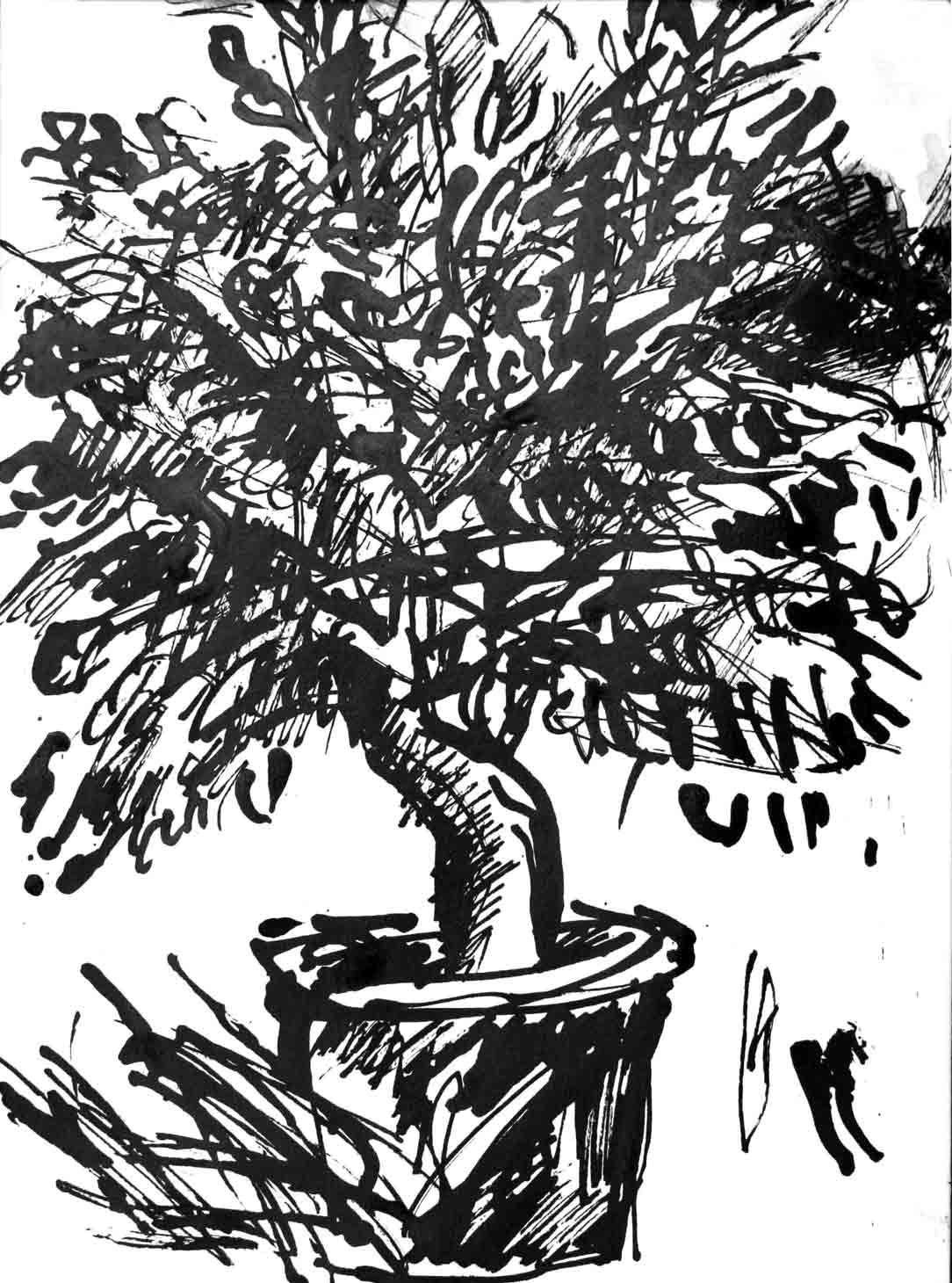 Image of an in Chinese ink drawn lemon tree, title: The Lemon Tree - 19