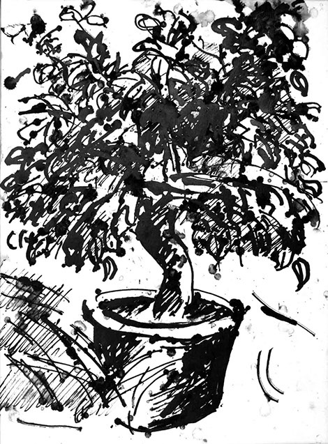 Image of an in Chinese ink drawn lemon tree, title: The Lemon Tree - 20