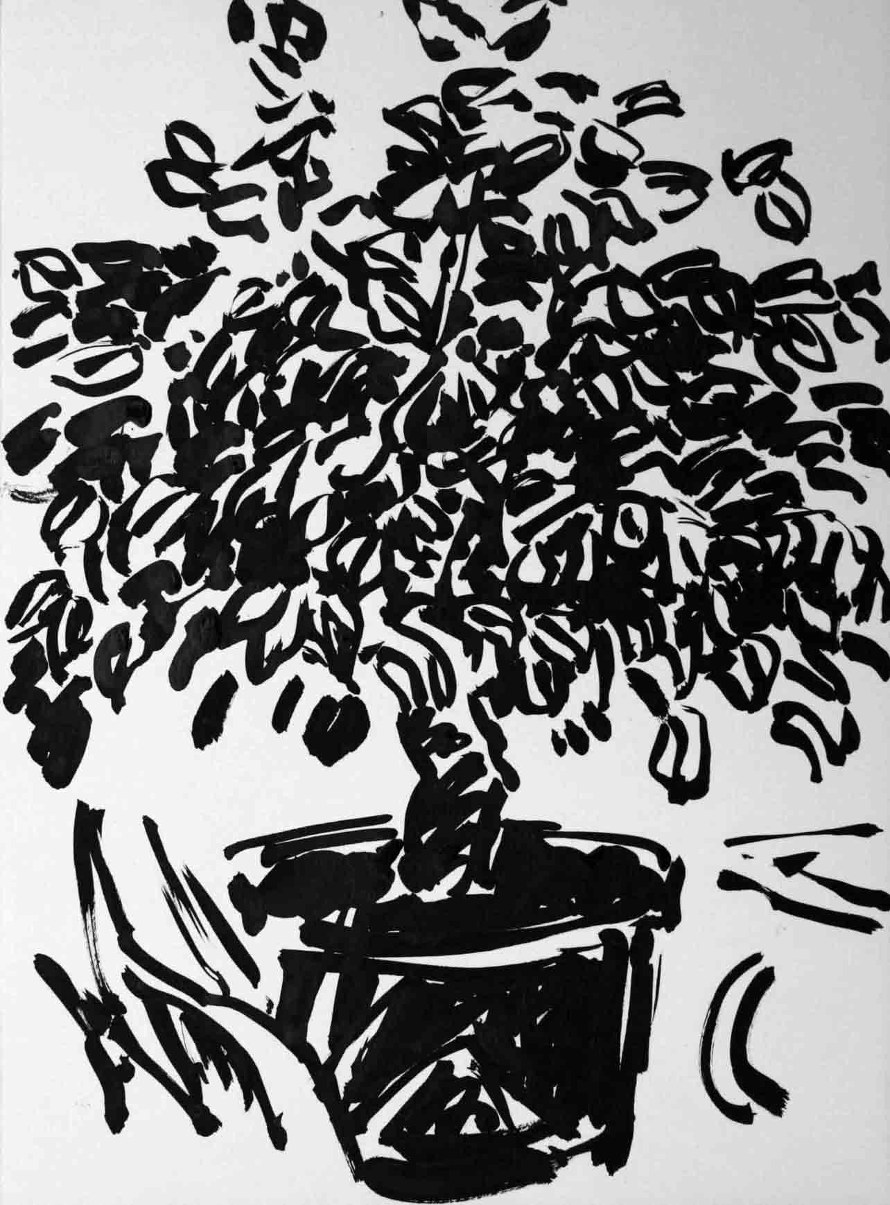 Représentation d'un citronnier en encre de Chine, titre Le Citronnier - 3