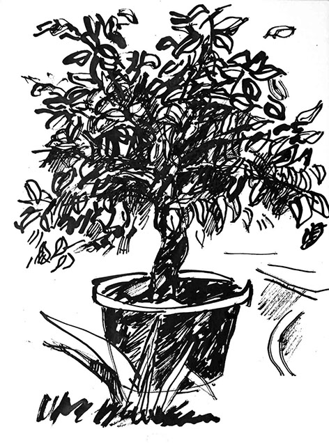 Représentation d'un citronnier en encre de Chine, titre Le Citronnier - 4