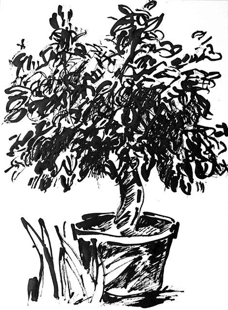 Représentation d'un citronnier en encre de Chine, titre Le Citronnier - 6