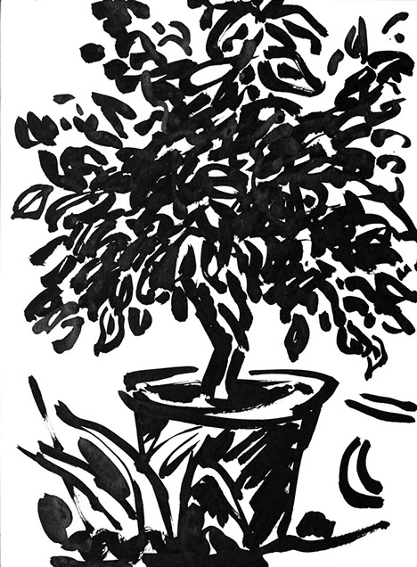 Représentation d'un citronnier en encre de Chine, titre Le Citronnier - 12