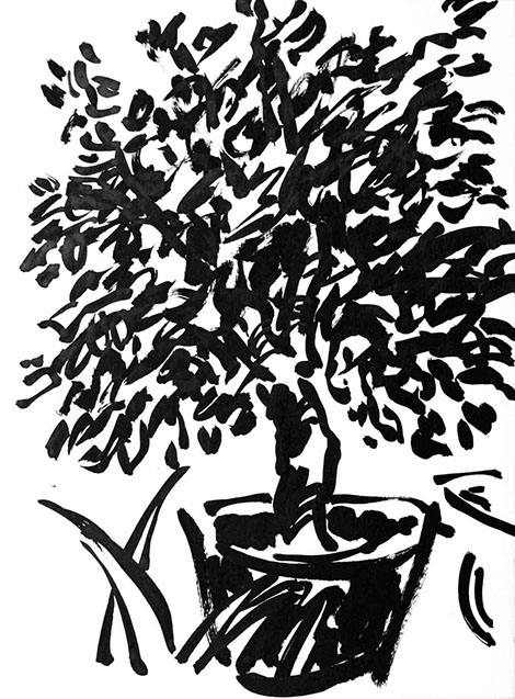 Représentation d'un citronnier en encre de Chine, titre Le Citronnier - 15