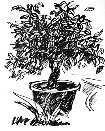 Afbeelding van een citroenboom, met Chinese inkt getekend, De citroenboom - 4