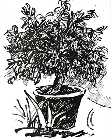 Afbeelding van een citroenboom, met Chinese inkt getekend, De citroenboom - 5