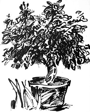 Afbeelding van een citroenboom, met Chinese inkt getekend, De citroenboom - 6