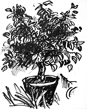 Afbeelding van een citroenboom, met Chinese inkt getekend, De citroenboom - 7