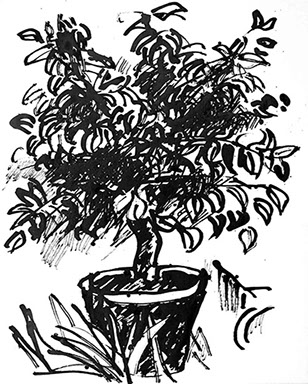 Afbeelding van een citroenboom, met Chinese inkt getekend, De citroenboom - 7