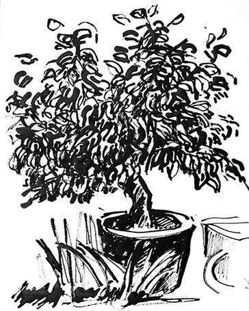 Afbeelding van een citroenboom, met Chinese inkt getekend, De citroenboom - 10