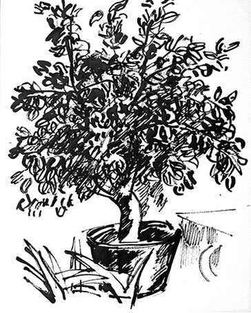 Afbeelding van een citroenboom, met Chinese inkt getekend, De citroenboom - 11