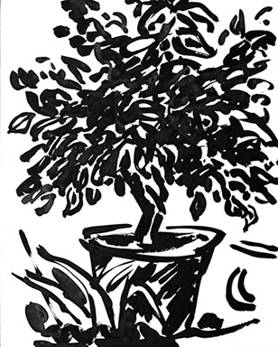 Afbeelding van een citroenboom, met Chinese inkt getekend, De citroenboom - 12