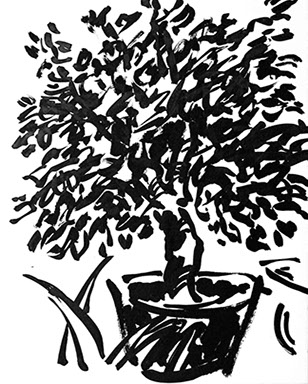 Afbeelding van een citroenboom, met Chinese inkt getekend, De citroenboom - 15