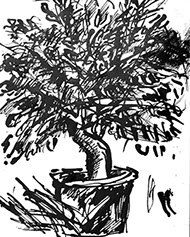 Afbeelding van een citroenboom, met Chinese inkt getekend, De citroenboom - 19