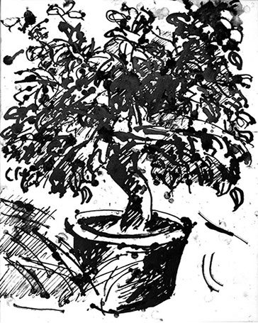 Afbeelding van een citroenboom, met Chinese inkt getekend, De citroenboom - 20