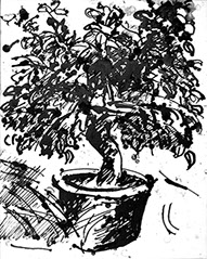 Afbeelding van een citroenboom, met Chinese inkt getekend, De citroenboom - 20