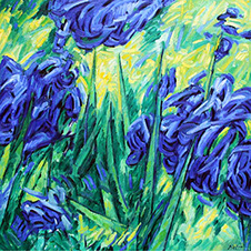 afbeelding van olieverf op linnen, Irissen